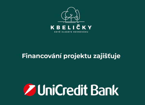 31.5.2023 Financing of the project